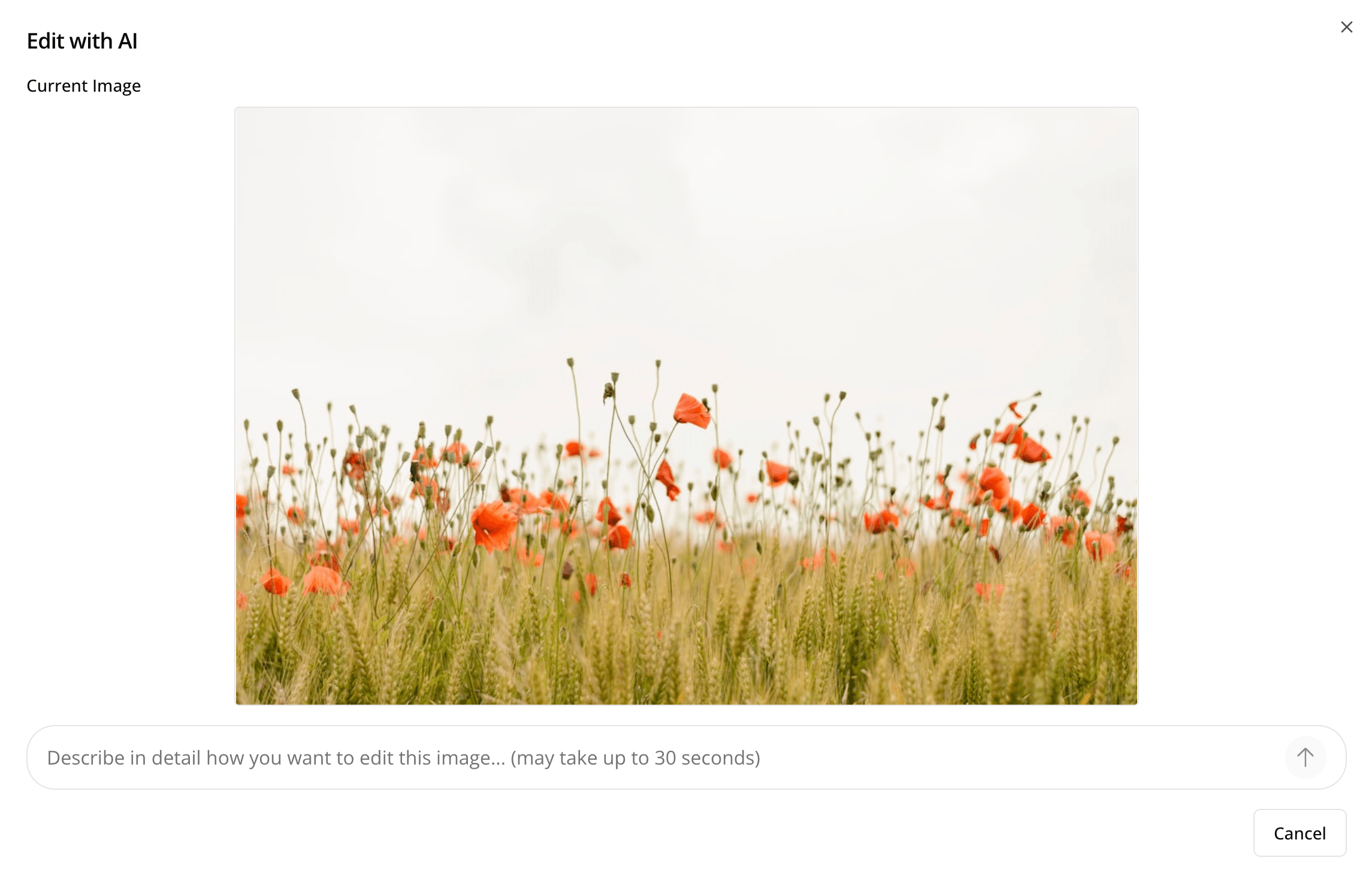Edit images with AI (Beta)
