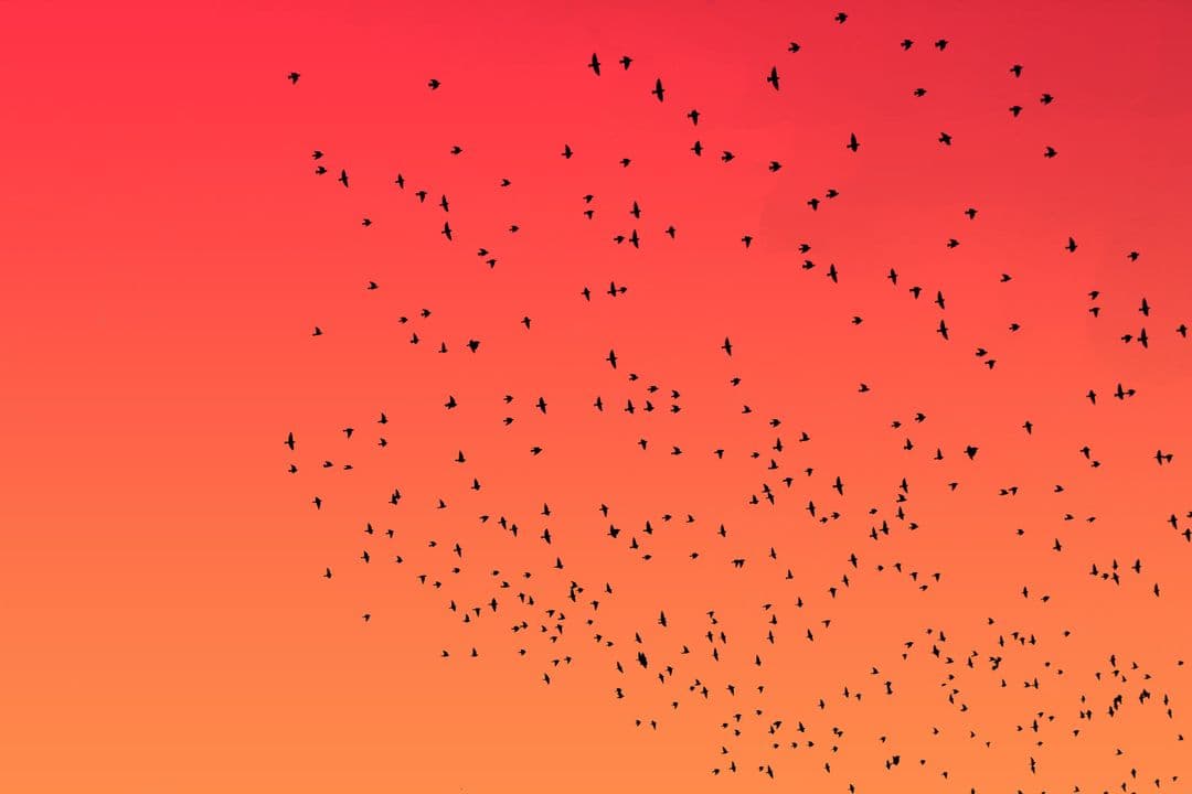 AI Decentralization in L&D